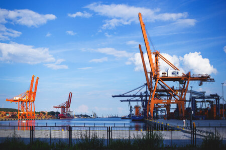 Container cranes 2 photo