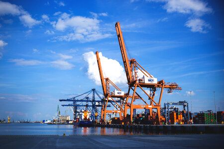 Container cranes photo