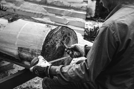 Man measuring tree trunk