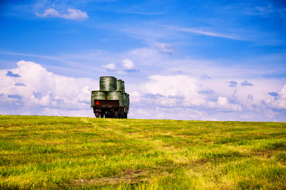 Work in the field 3