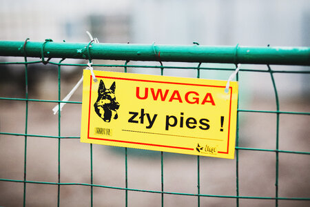 Warning! Bad dog!
