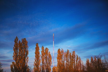 TV and FM mast in Olsztyn photo