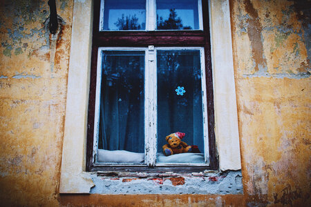 Teddy bear in the window photo