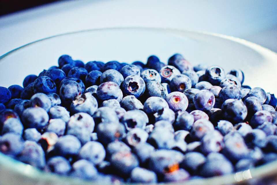 Wild blueberries photo