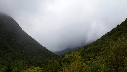 Green Trees Beside Mountains With Fogs during Daytime