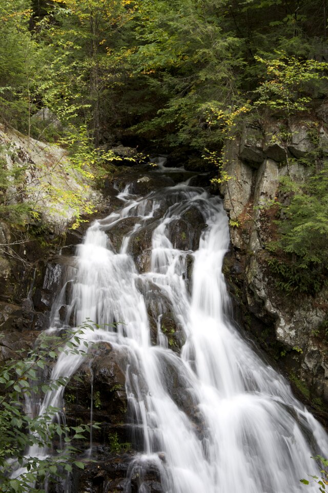 Free stock photo of rocks, trees, water photo