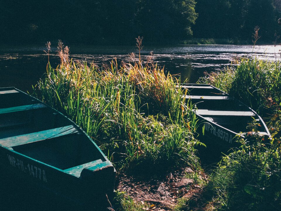 Free stock photo of boat, nature