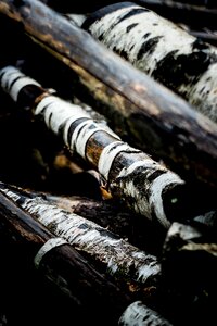 Close Up Photography of Brown Wooden Log photo
