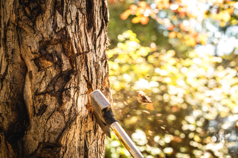 Time Lapse Photography of Axe Hitting Wood Trunk