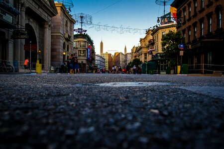 Free stock photo of disney, orlando