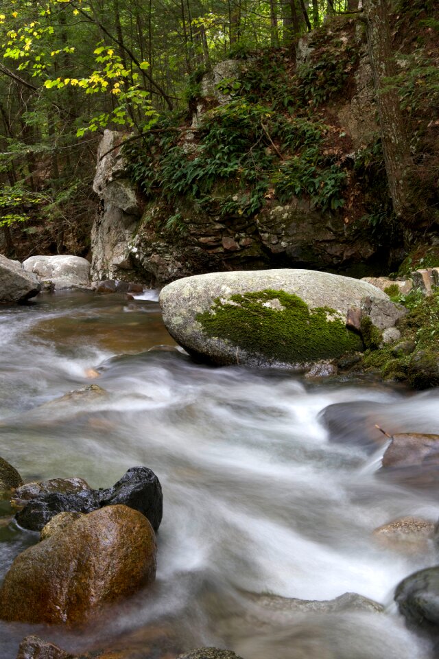 Free stock photo of rocks, trees, water photo