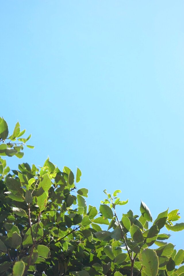 Free stock photo from Tookapic