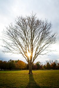 Free stock photo from Tookapic photo