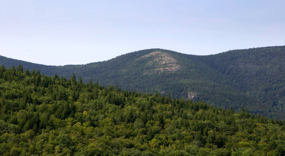 Free stock photo of mountains, trees