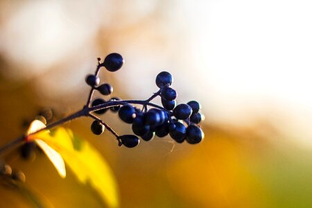 Free stock photo from Tookapic