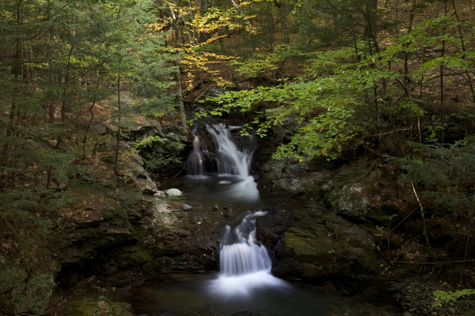 Free stock photo of forest, pouring, rocks photo