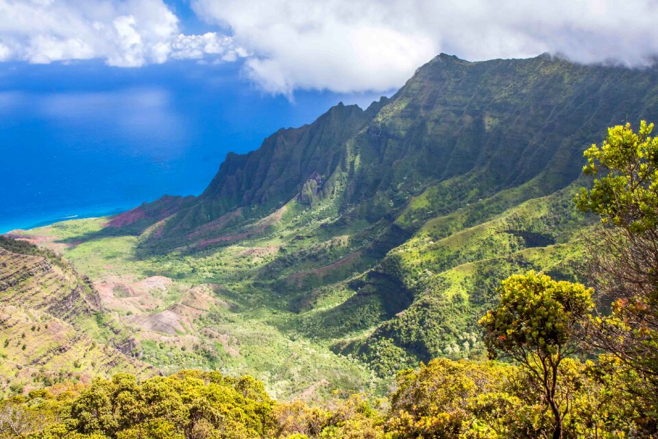 Aerial Photography of Tree Covered Mountain Beside Sea