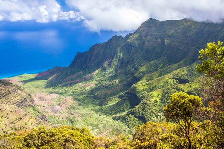 Aerial Photography of Tree Covered Mountain Beside Sea photo