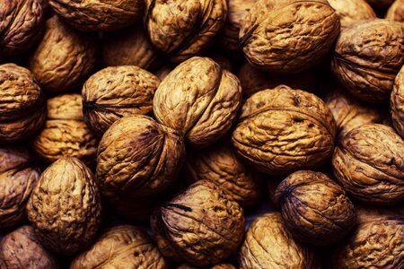 Brown Wall Nut Lot
