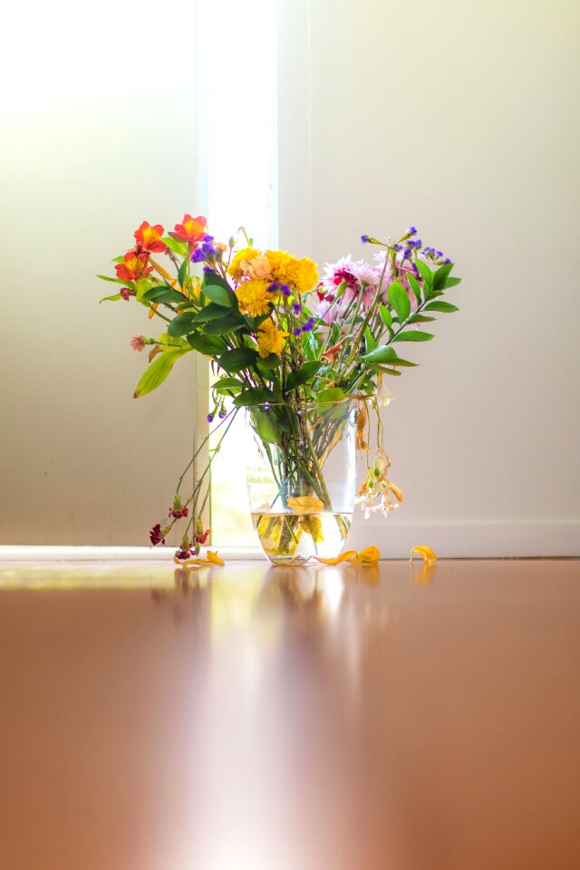 Free stock photo from Snapwire