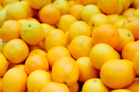 Free stock photo of fruit, orange photo