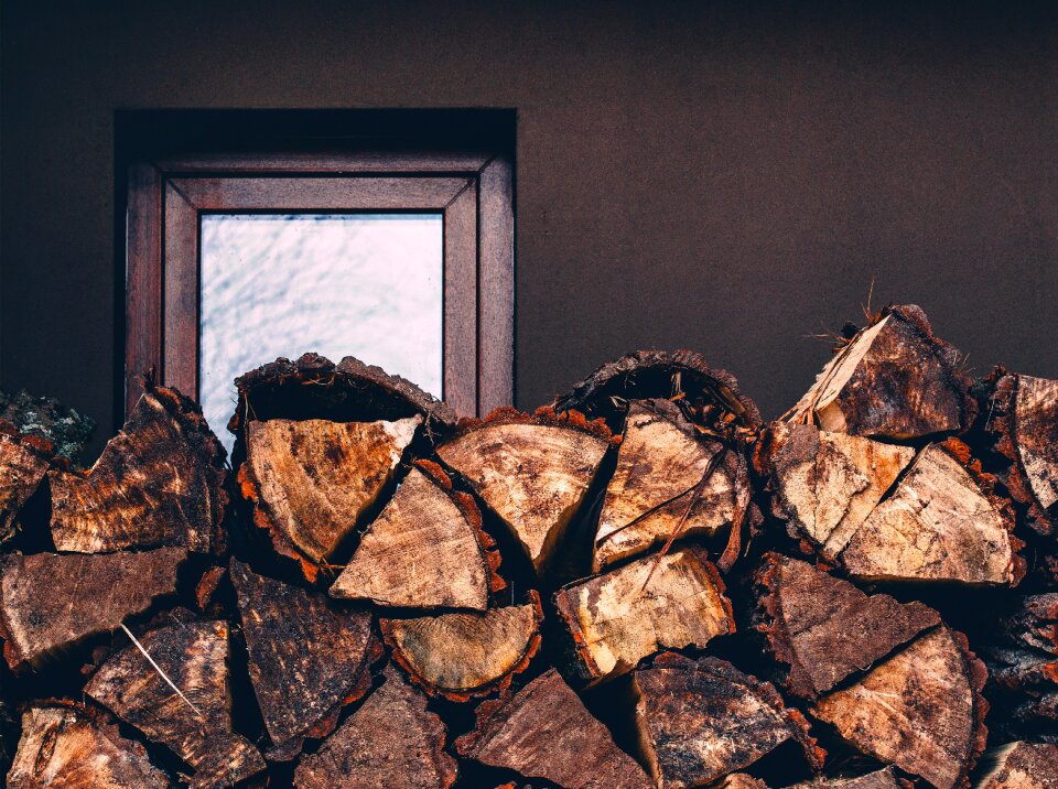 Free stock photo of bark, wall, wood