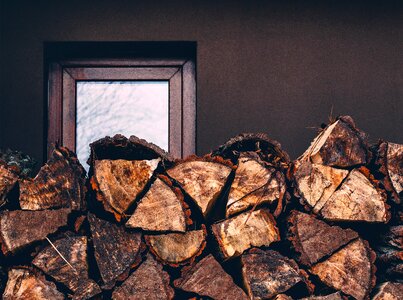 Free stock photo of bark, wall, wood photo