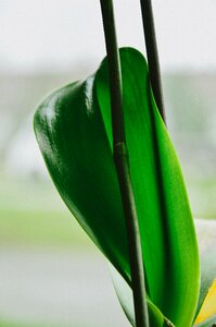 Free stock photo from Tookapic