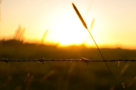 Free stock photo of barb wire, grass, landscape photo