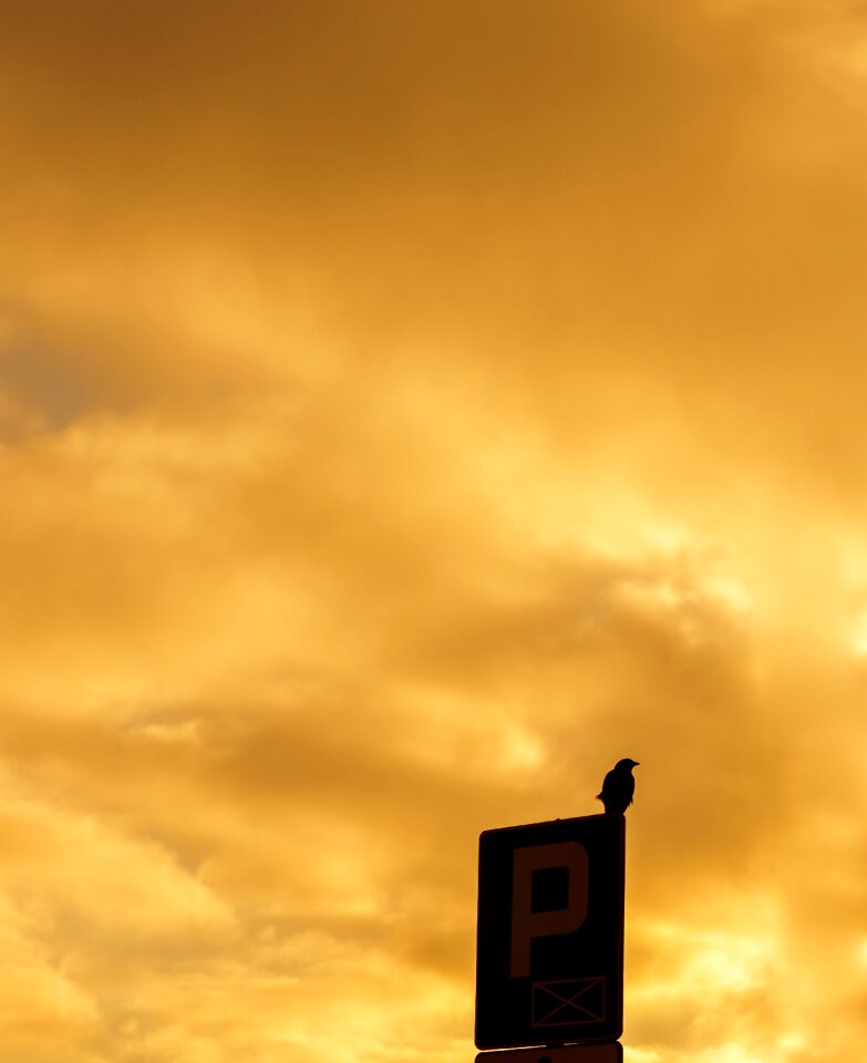 Free stock photo of clouds, minimalism, sky