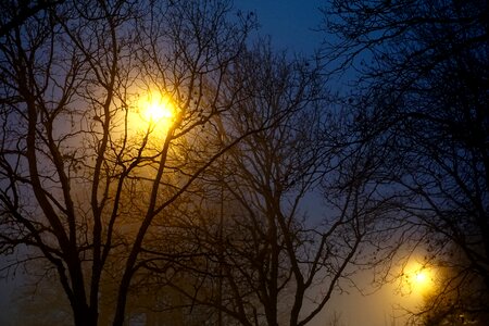 Free stock photo of fog, light, night photo