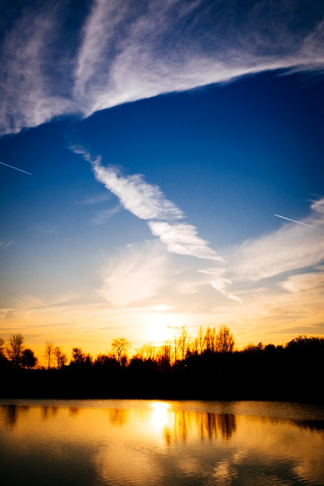 Silhouettes of Trees During Sunset