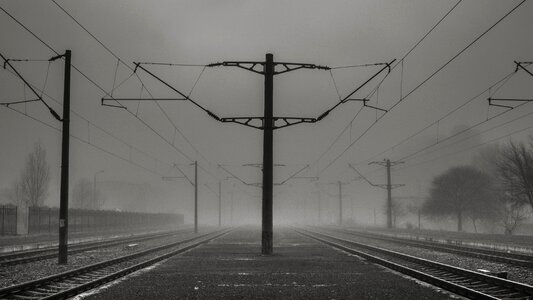 Free stock photo of black-and-white, fog, foggy photo