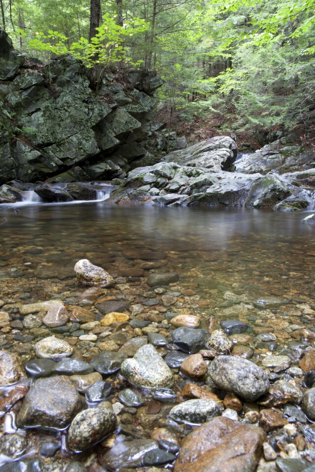 Free stock photo of rocks, trees, water