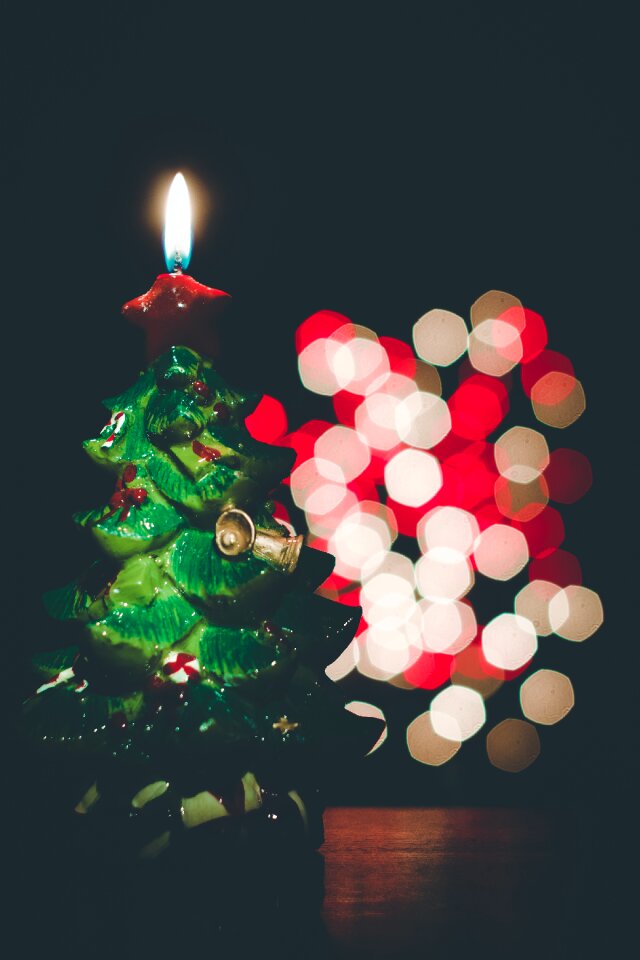 Free stock photo of candle, christmas, christmas tree