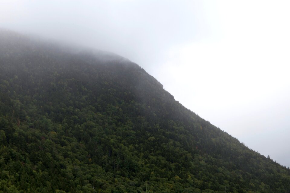 Free stock photo of fog, mountain, trees
