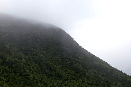 Free stock photo of fog, mountain, trees photo