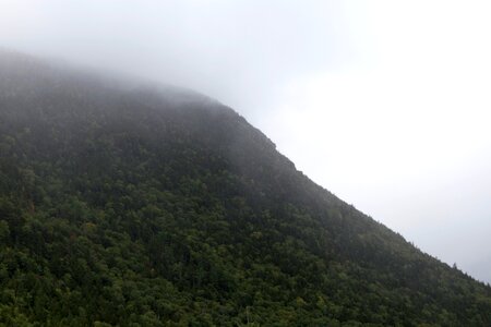 Free stock photo of fog, mountain, trees