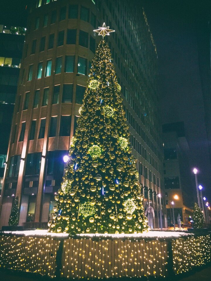 Free stock photo of christmastree, newyear