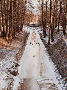 Free stock photo of ice, trees, winter