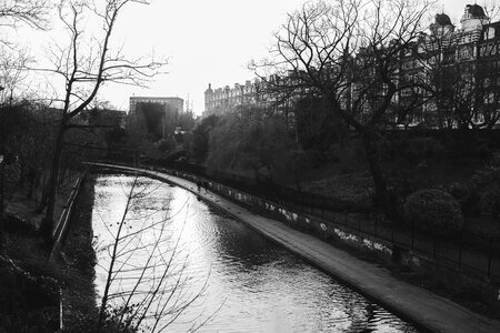 Free stock photo of b&w, canal, park photo