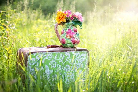 Red and Green Floral Suitcase photo