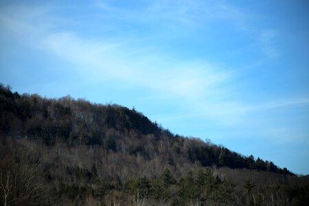 Free stock photo of clouds, trees