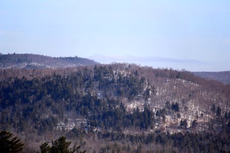 Free stock photo of mountains, trees