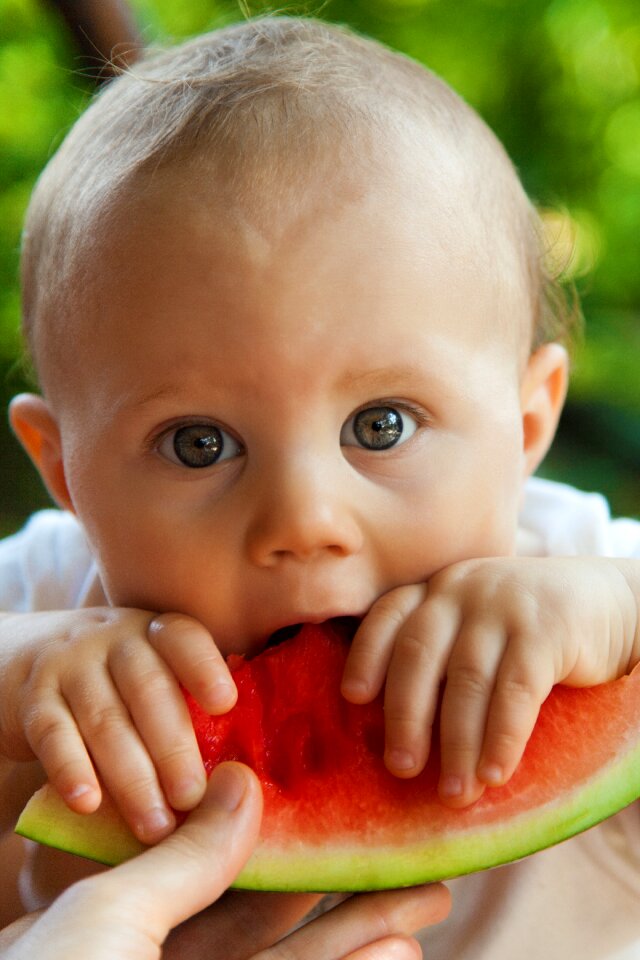 Free stock photo of baby, bite, boy