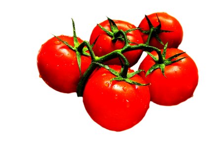 Red Green Tomato Fruit photo