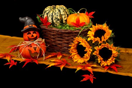 Assorted-color Halloween Decors photo