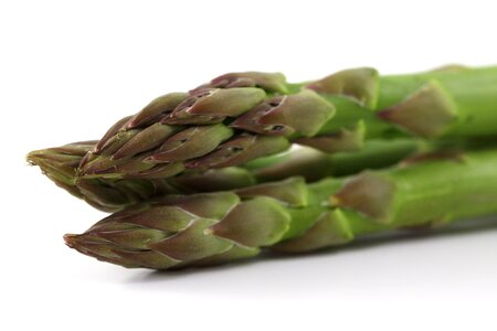 Macro Photo of Asparagus photo