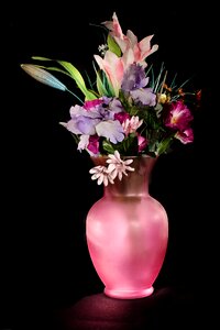 Pink Vase photo