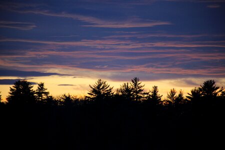 Free stock photo of clouds, sunset, trees